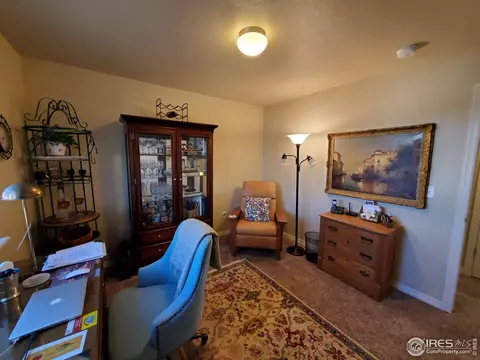 5408 Osbourne Dr, Windsor, CO 80550 photo 20
