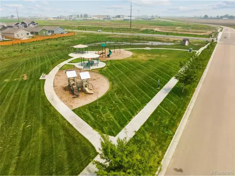 1053 Long Meadows St, Severance, CO 80550 photo 20