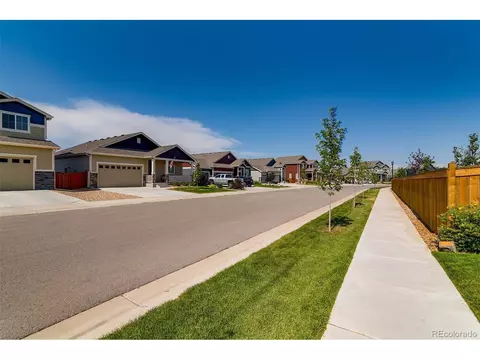1053 Long Meadows St, Severance, CO 80550 photo 17