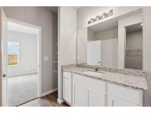 1053 Long Meadows St, Severance, CO 80550 photo 9
