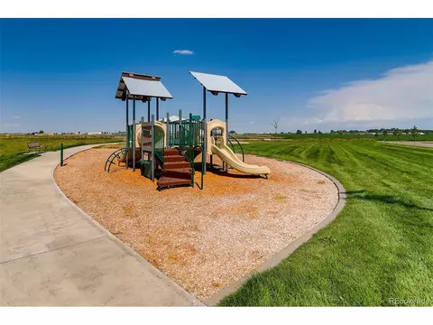 1053 Long Meadows St, Severance, CO 80550 photo 18