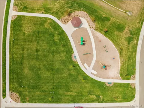 1053 Long Meadows St, Severance, CO 80550 photo 21