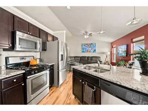 421 Ptarmigan St, Severance, CO 80550 photo 13