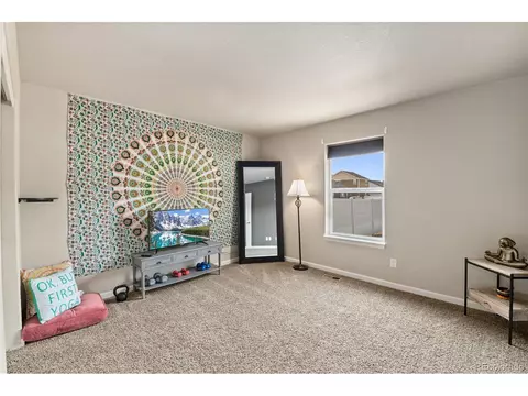 421 Ptarmigan St, Severance, CO 80550 photo 24