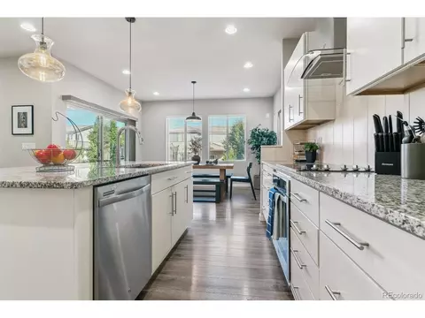 10919 Touchstone Loop, Parker, CO 80134 photo 8
