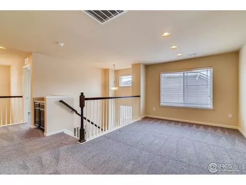 153 Halibut Dr, Windsor, CO 80550 photo 28