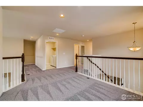 153 Halibut Dr, Windsor, CO 80550 photo 29