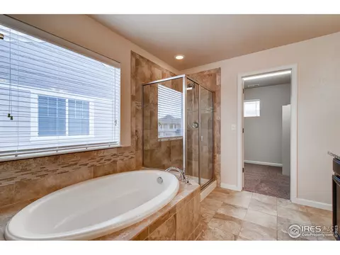 153 Halibut Dr, Windsor, CO 80550 photo 22
