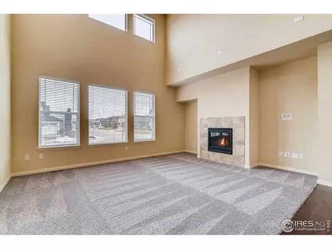 153 Halibut Dr, Windsor, CO 80550 photo 10