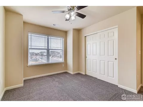 153 Halibut Dr, Windsor, CO 80550 photo 26