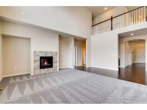 153 Halibut Dr, Windsor, CO 80550 photo 8