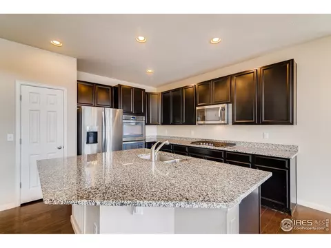 153 Halibut Dr, Windsor, CO 80550 photo 14