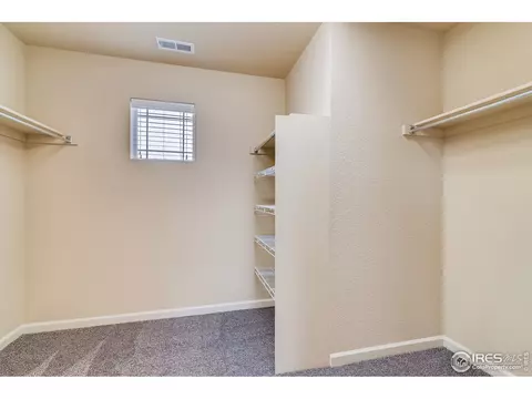 153 Halibut Dr, Windsor, CO 80550 photo 24