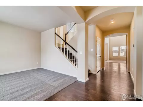 153 Halibut Dr, Windsor, CO 80550 photo 7