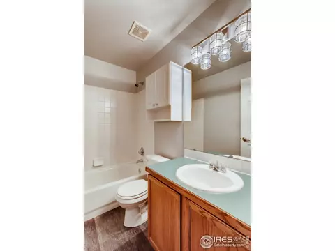 202 Eagle Ave, Mead, CO 80542 photo 18