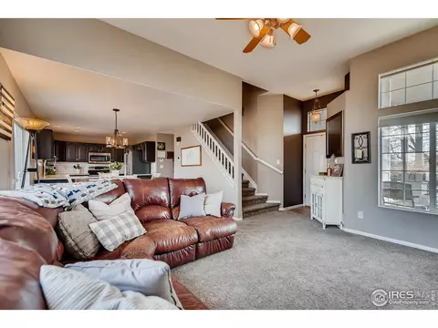 4701 E 125th Ave, Thornton, CO 80241 photo 8