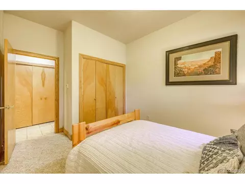 1841 Stellar Dr, Silverthorne, CO 80498 photo 24
