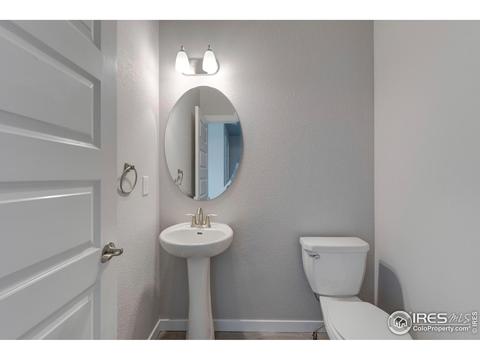 2172 Beehive Ct, Windsor, CO 80550 photo 1