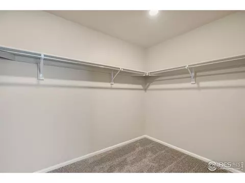 880 Camberly Dr, Windsor, CO 80550 photo 24