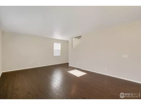 880 Camberly Dr, Windsor, CO 80550 photo 6