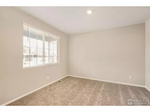 880 Camberly Dr, Windsor, CO 80550 photo 5