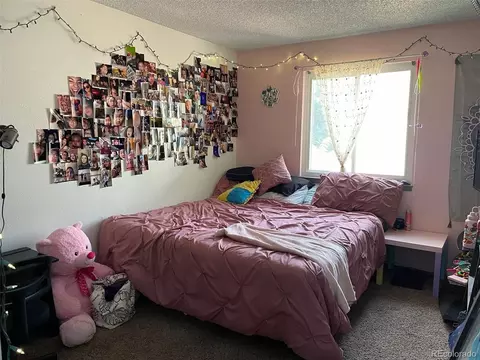 5191 E 112th Ct, Thornton, CO 80233 photo 15
