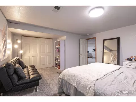 1499 Walnut St, Windsor, CO 80550 photo 23