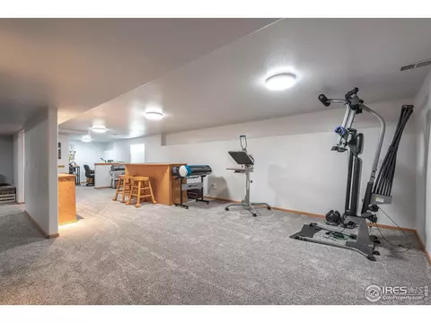 1499 Walnut St, Windsor, CO 80550 photo 34