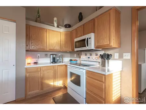 1499 Walnut St, Windsor, CO 80550 photo 9