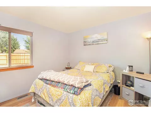 903 Canyon Ct, Windsor, CO 80550 photo 11