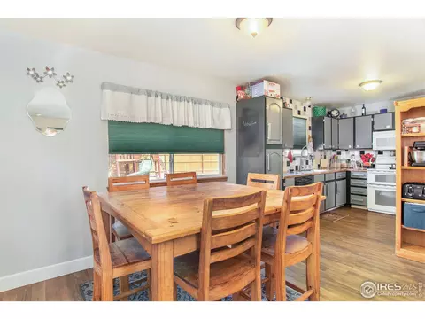903 Canyon Ct, Windsor, CO 80550 photo 4
