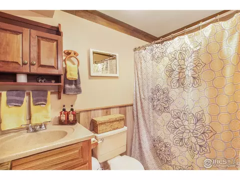 903 Canyon Ct, Windsor, CO 80550 photo 20
