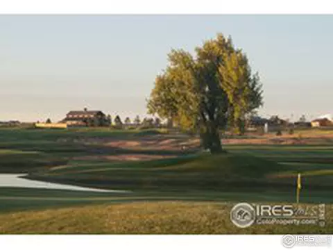 6582 Crystal Downs Dr #102, Windsor, CO 80550 photo 28