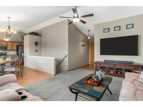 870 Amber Ct, Windsor, CO 80550 photo 5