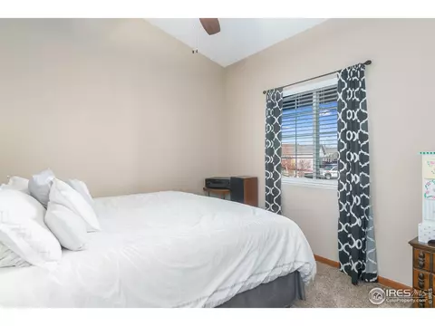 870 Amber Ct, Windsor, CO 80550 photo 15