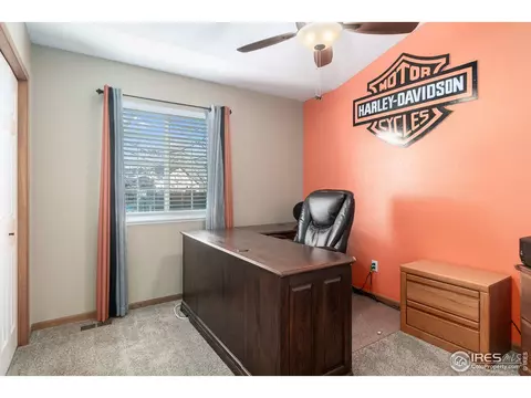 870 Amber Ct, Windsor, CO 80550 photo 17