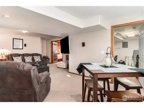 870 Amber Ct, Windsor, CO 80550 photo 19