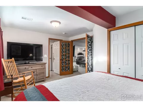870 Amber Ct, Windsor, CO 80550 photo 24