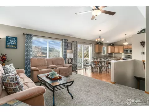 870 Amber Ct, Windsor, CO 80550 photo 4