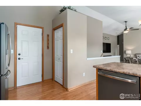 870 Amber Ct, Windsor, CO 80550 photo 11