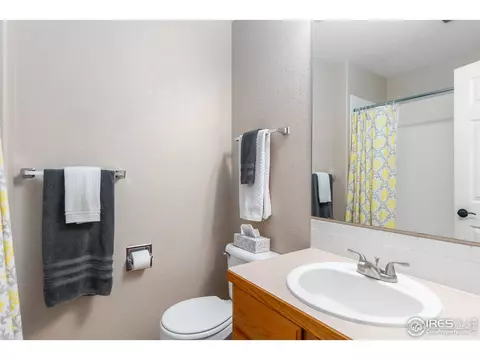 870 Amber Ct, Windsor, CO 80550 photo 16