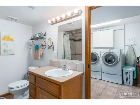 870 Amber Ct, Windsor, CO 80550 photo 25