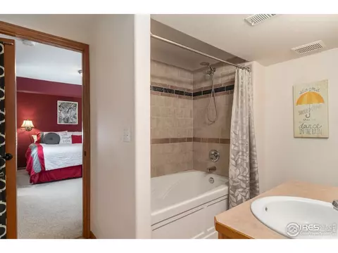 870 Amber Ct, Windsor, CO 80550 photo 26