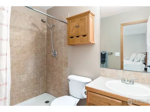 870 Amber Ct, Windsor, CO 80550 photo 14