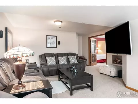 870 Amber Ct, Windsor, CO 80550 photo 22