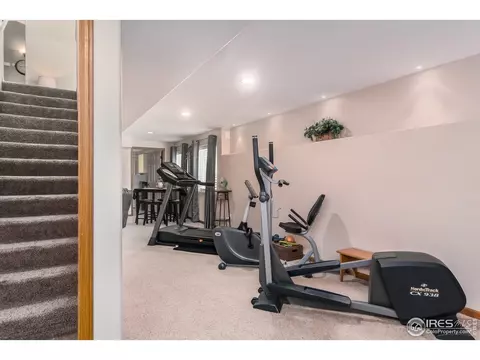 870 Amber Ct, Windsor, CO 80550 photo 18