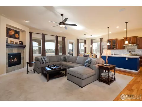 15196 Willow Dr, Thornton, CO 80602 photo 8