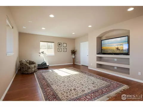 15196 Willow Dr, Thornton, CO 80602 photo 24