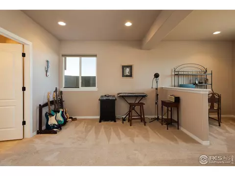 15196 Willow Dr, Thornton, CO 80602 photo 27