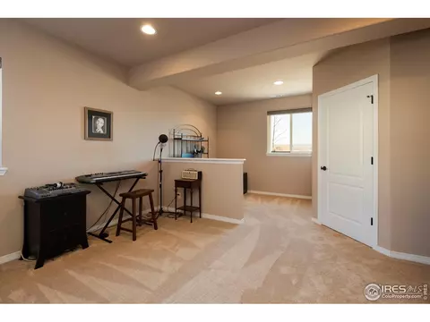 15196 Willow Dr, Thornton, CO 80602 photo 33